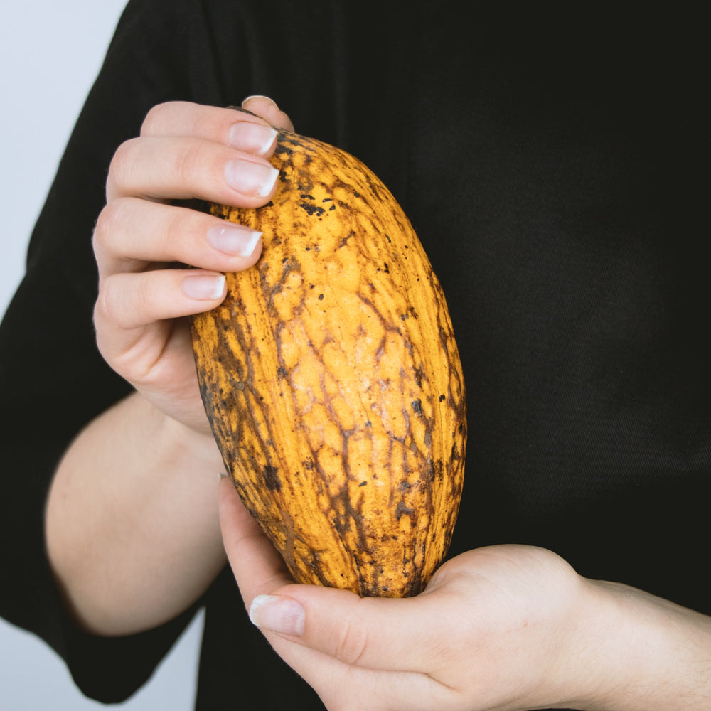 Roh-Kakao - Warum die rohe Kakaobohne gesünder ist...