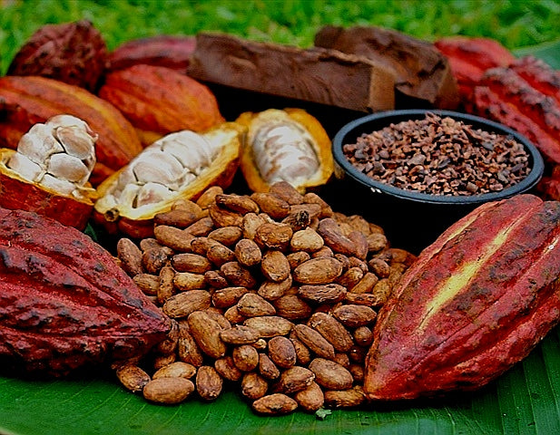 Kakao Produkte