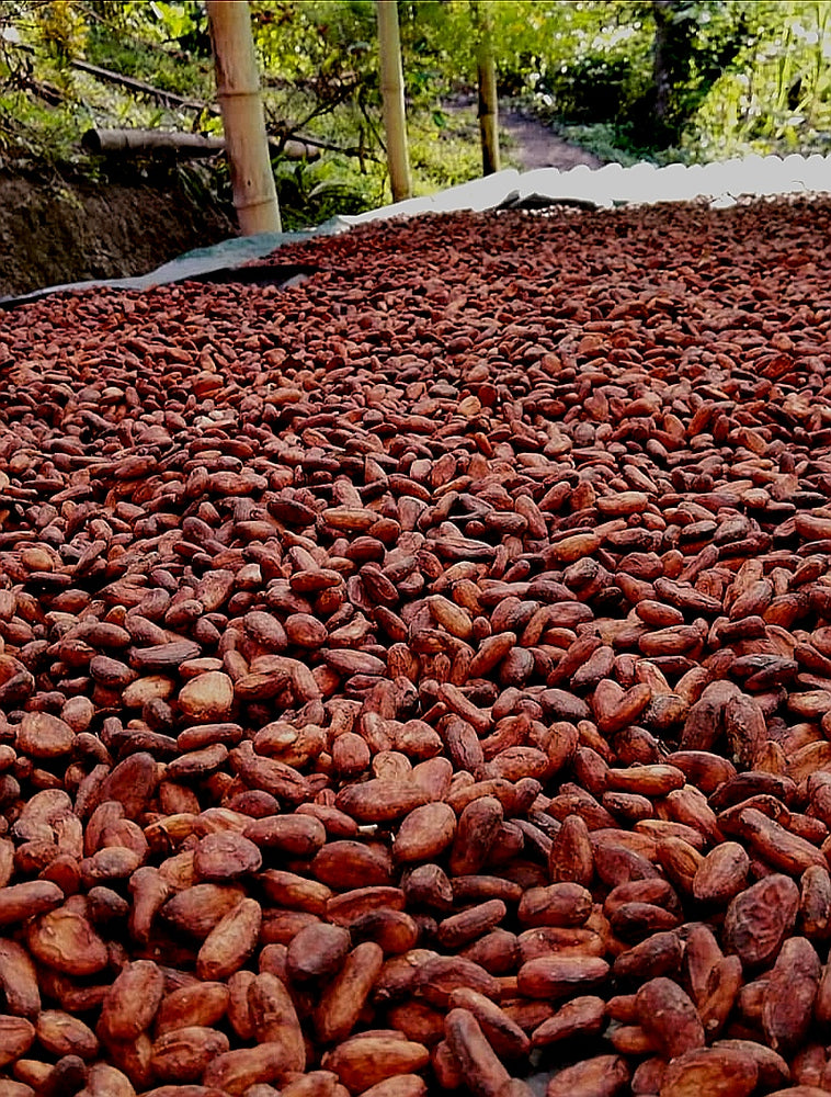 
                  
                    100% CURA COSMOS noble raw cocoa beans
                  
                