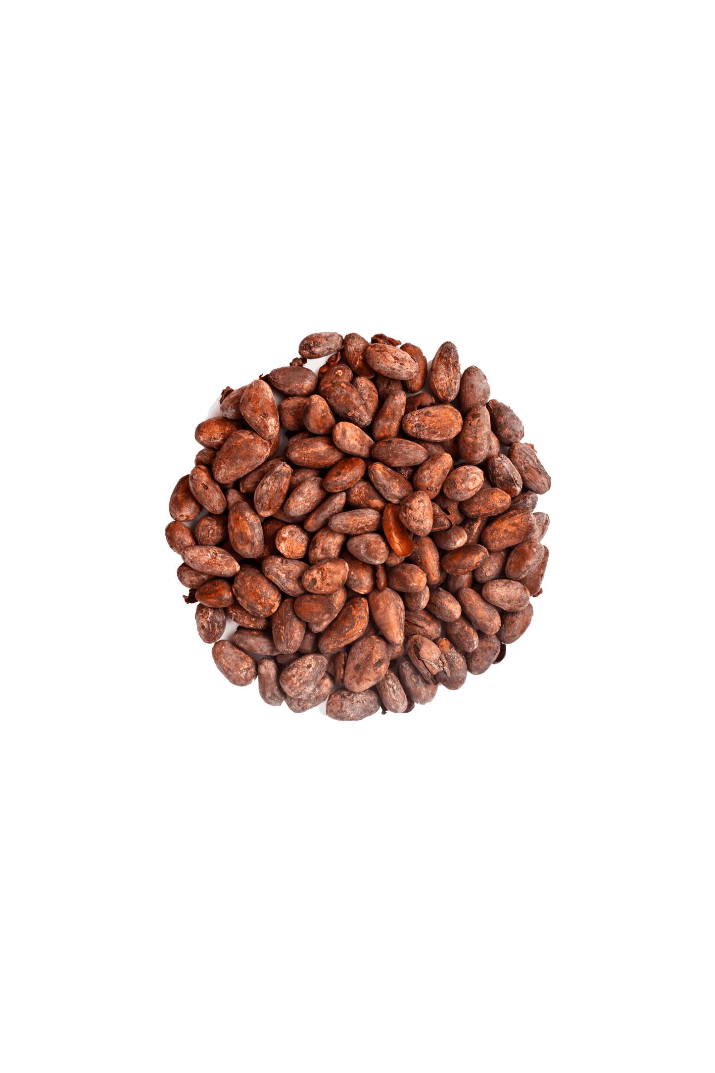 
                  
                    100 % CURA COSMOS Edel Roh-Kakao Bohnen
                  
                